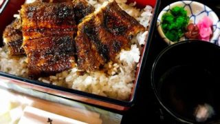 大はかやの上うなぎ丼