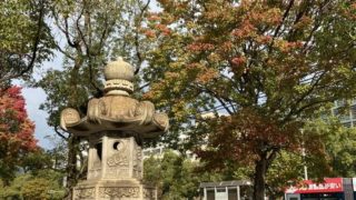 広島にも秋が来ていました